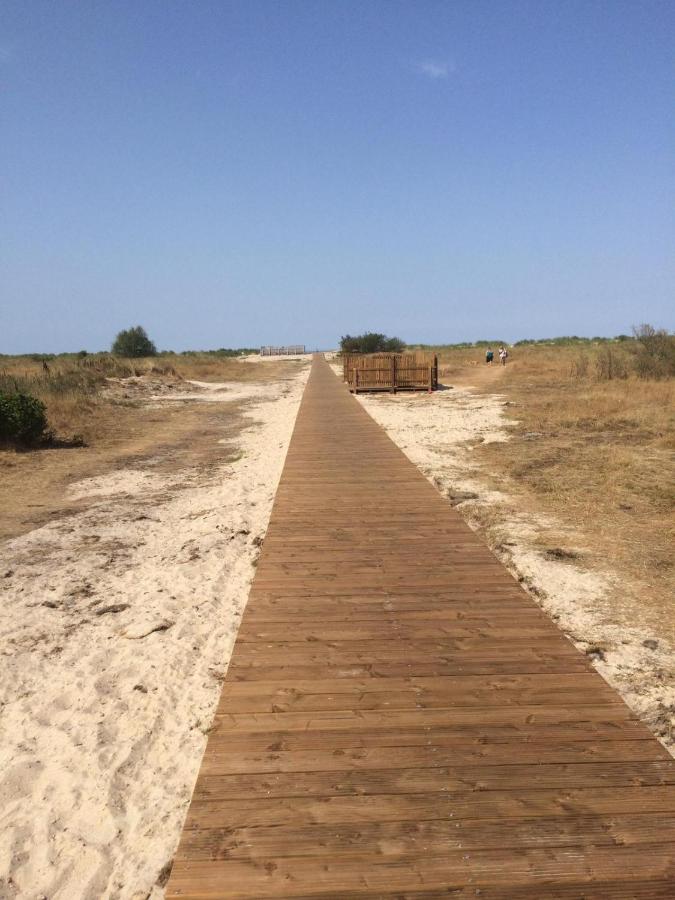 Strandroggen Schillig Buitenkant foto